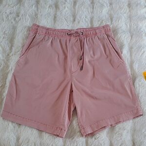 American Eagle Outfitters Flex  Shorts Mens Size XS